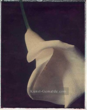  59 Galerie - fl0598eB realistisch monochrome Blume